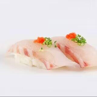 Red Snapper